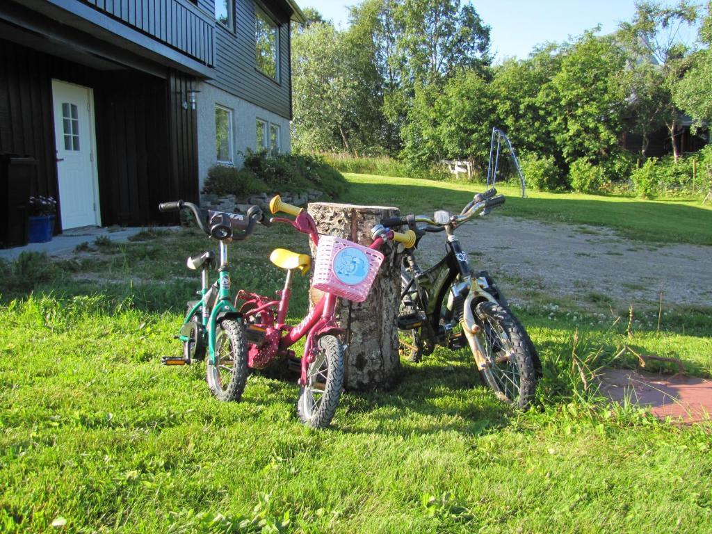 Midt I Lofoten Alstad  Exteriör bild